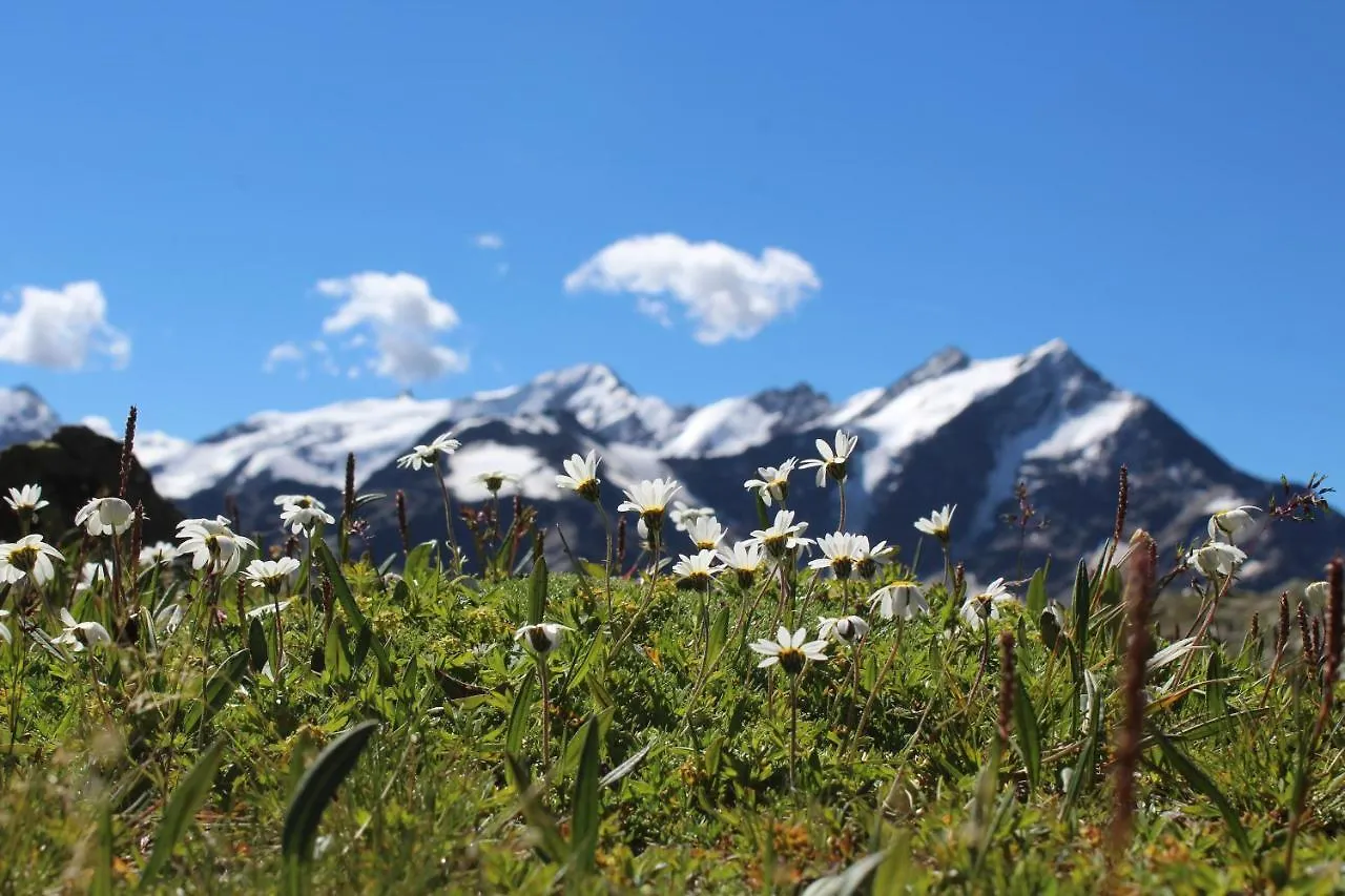 Rifugio Ghiacciaio Dei Forni Hotel Valfurva Italy
